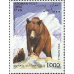 Timbre Straine - Asia