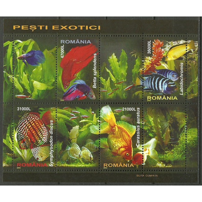 2005 - Pesti exotici, bloc neuzat