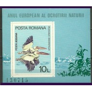 1980 - Ocrotirea naturii, pasari, colita neuzata