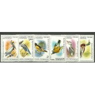 1985 - pasari ocrotite, serie neuzata