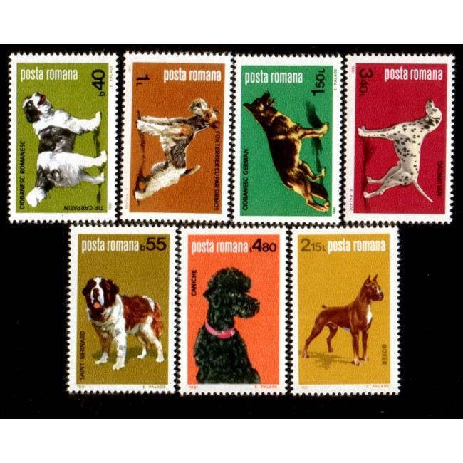1981 - Caini, serie neuzata