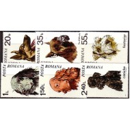 1971 - caini, serie neuzata