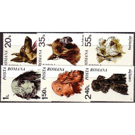 1971 - caini, serie neuzata 1971 - caini, serie neuzata