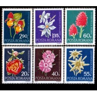 1972 - Flori rare, serie neuzata