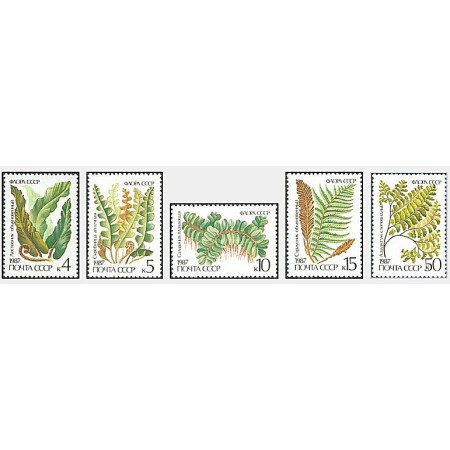 URSS 1987 - Flora, plante, serie neuzata URSS 1987 - Flora, plante, serie neuzata