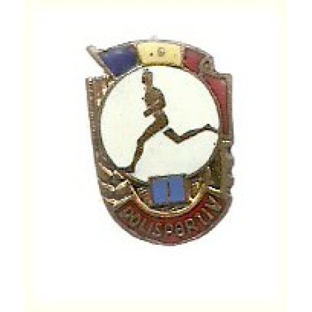 Insigna Polisportiv clasa I