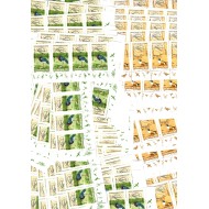 Romania 1999 - Pasari, Europa, LOT 200 serii neuzate, fara vinie