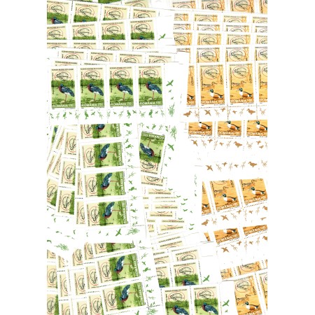 Romania 1999 - Pasari, Europa, 1000 serii neuzate, fara viniete