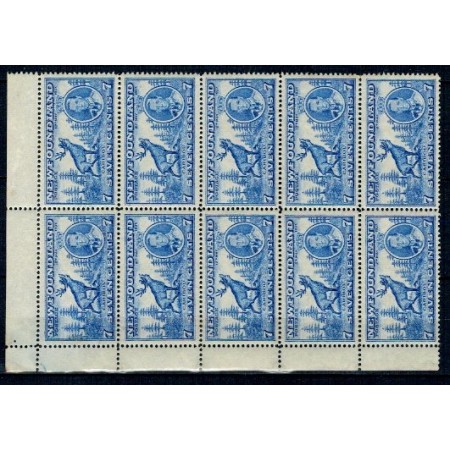 Newfoundland 1937 - Mi223A bloc de 10 neuzat Newfoundland 1937 - Mi223A bloc de 10 neuzat