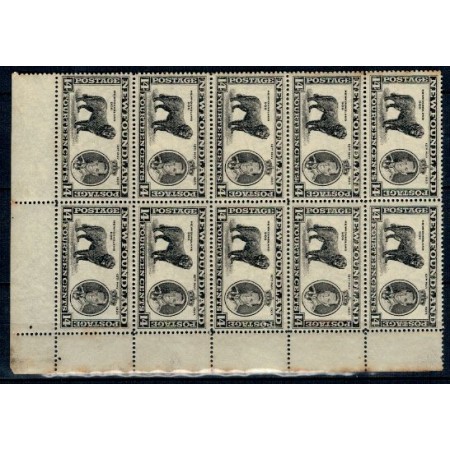 Newfoundland 1937 - Mi226A bloc de 10 neuzat Newfoundland 1937 - Mi226A bloc de 10 neuzat