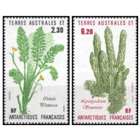 French South and Antarctic Terr. 1986 - Plante, serie neuzata French South and Antarctic Terr. 1986 - Plante, serie neuzata