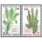 French South and Antarctic Terr. 1986 - Plante, serie neuzata