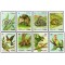 Cuba 1984 - Fauna, animale, pasari, serie neuzata