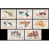 1964 - Gradina zoologica Bucuresti, fauna, animale, serie neuzat