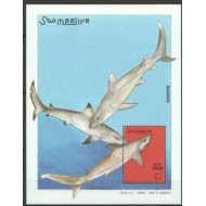 Somalia 1993 - Rechini, fauna marina, colita neuzata