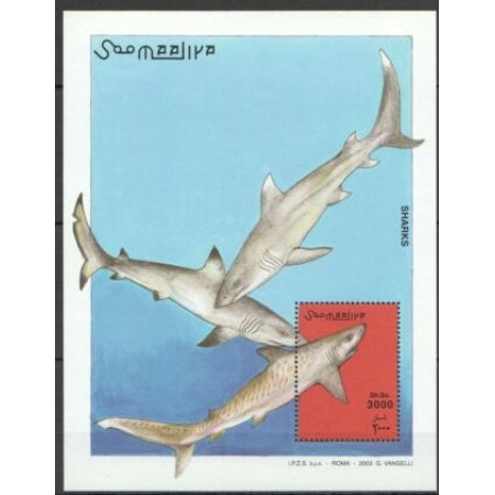 Somalia 1993 - Rechini, fauna marina, colita neuzata Somalia 1993 - Rechini, fauna marina, colita neuzata