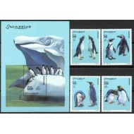 Somalia 2001 - Pinguini, serie si colita neuzata