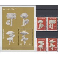 Somalia 2002 - Ciuperci, serie+colita neuzata