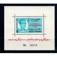 Afganistan 1963 - Crucea Rosie, colita neuzata