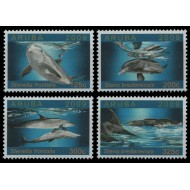 Aruba 2009 - Fauna marina, delfini, serie neuzata