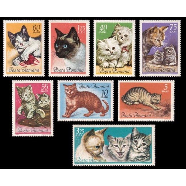 1965 - Pisici, serie neuzata