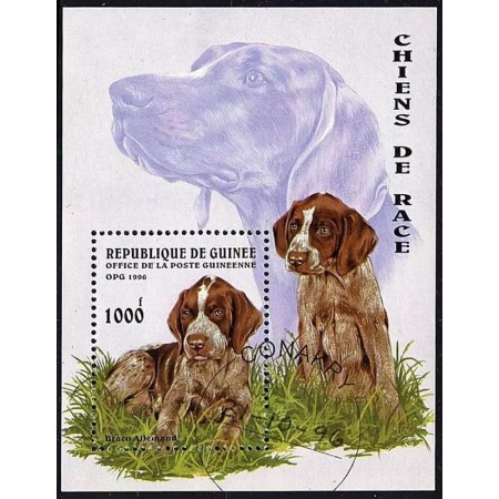 Guinea 1996 - Caini, colita neuzata Guinea 1996 - Caini, colita neuzata
