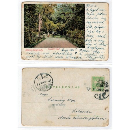 Targu Mures 1911 - Parc, Erzsebet Liget, ilustrata litho circula