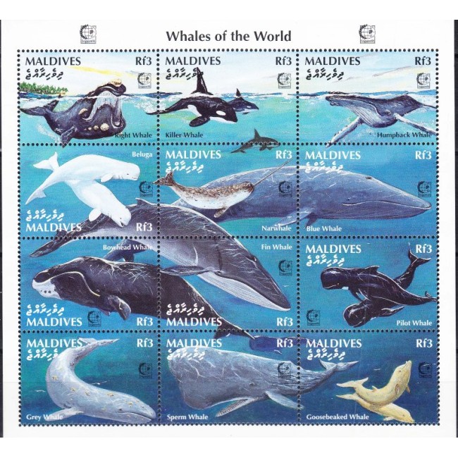 Maldives 1995 - Fauna marina, balene, minicoala neuzata
