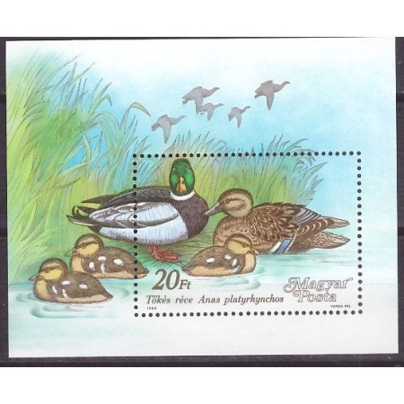 Ungaria 1988 - Pasari, rate, colita neuzata