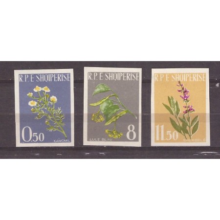 Albania 1962 - Plante medicinale, serie ndt neuzata Albania 1962 - Plante medicinale, serie ndt neuzata