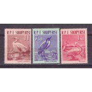 Albania 1961 - pasari, serie neuzata