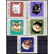 Manama 1968 - Pisici, serie neuzata