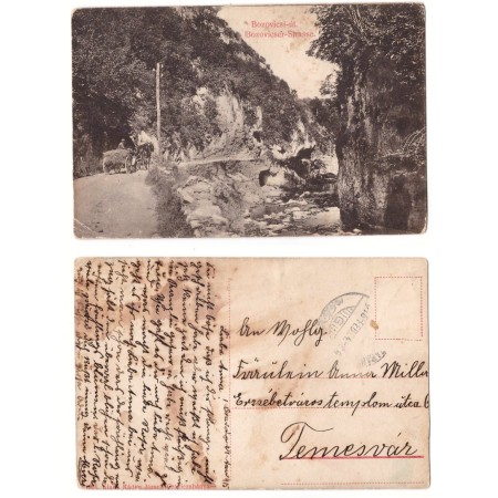 Bozovici 1915 - Ilustrata circulata