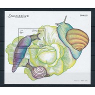 Somalia 2003 - Melci, colita neuzata