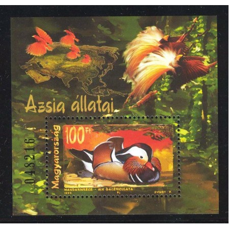 Ungaria 1999 - Fauna Asia, pasari, colita neuzata Ungaria 1999 - Fauna Asia, pasari, colita neuzata