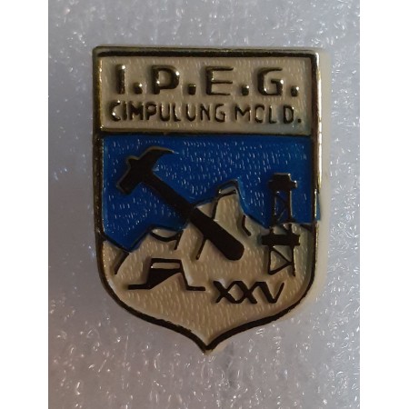 Insigna I.P.E.G. Cimpulung Moldovenesc Insigna I.P.E.G. Cimpulung Moldovenesc