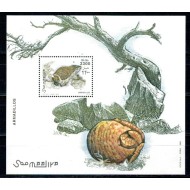 Somalia 2003 - Fauna, tatu, colita neuzata