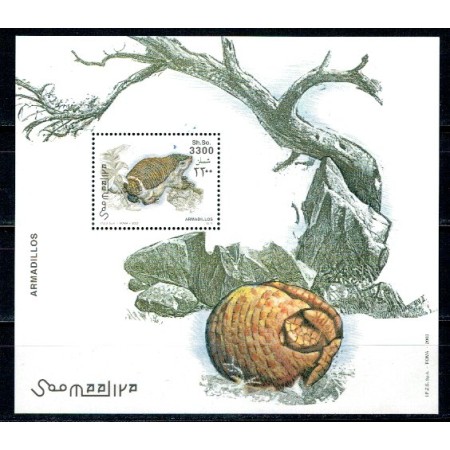 Somalia 2003 - Fauna, tatu, colita neuzata Somalia 2003 - Fauna, tatu, colita neuzata