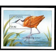 Congo 2000 - Pasari, colita neuzata