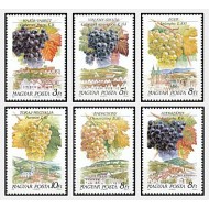 Ungaria 1990 - Viticultura, struguri, serie neuzata