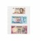 Set 50 folii SH252 cu 3 buzunare, PP, pentru bancnote