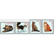 China 2013 - pisici, serie neuzata