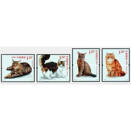 China 2013 - pisici, serie neuzata