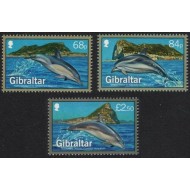 Gibraltar 2014 - Fauna marina, delfini, serie neuzata