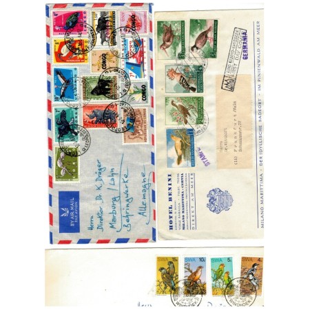 Lot 5 plicuri circulate francate cu timbre cu pasari, destinatii mai deosebite Lot 5 plicuri circulate francate cu timbre cu pasari, destinatii mai deosebite