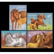 2021 - Cai, serie neuzata