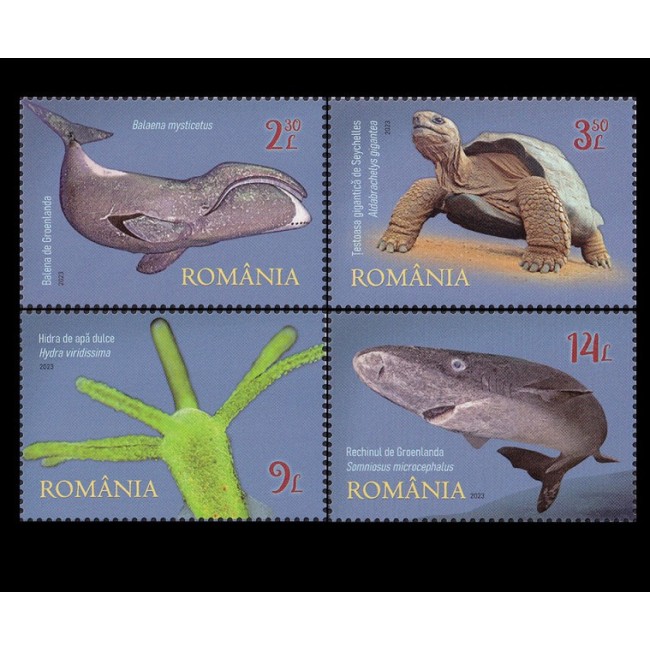 2023 - Campionii longevității, fauna, animale, serie neuzata 2023 - Campionii longevității, fauna, animale, serie neuzata
