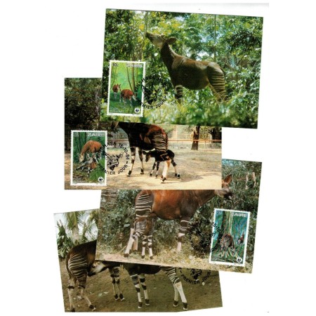 Zaire 1984 - Fauna WWF, okapi, serie carti postale maxime Zaire 1984 - Fauna WWF, okapi, serie carti postale maxime