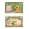 Vietnam Sud 1955 - 5 dong aUNC