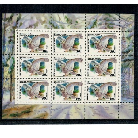 URSS 1990 - Bufnite, minicoala neuzata